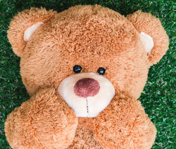 Teddy bear stuffed animal