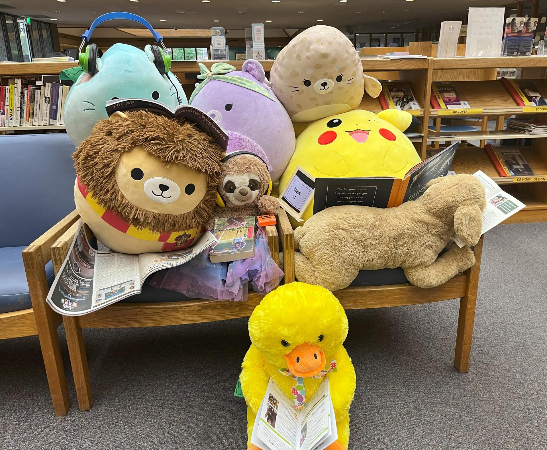 Stuffies Reading Newspapers 2024